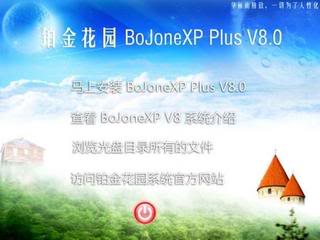 铂金过去的作品 (7)